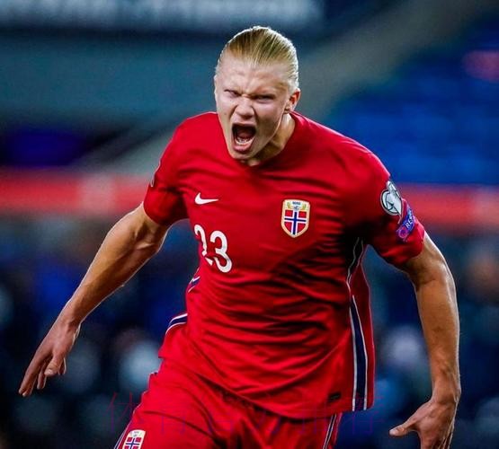 最新世界杯葡萄牙哈兰德比赛解读深度解读