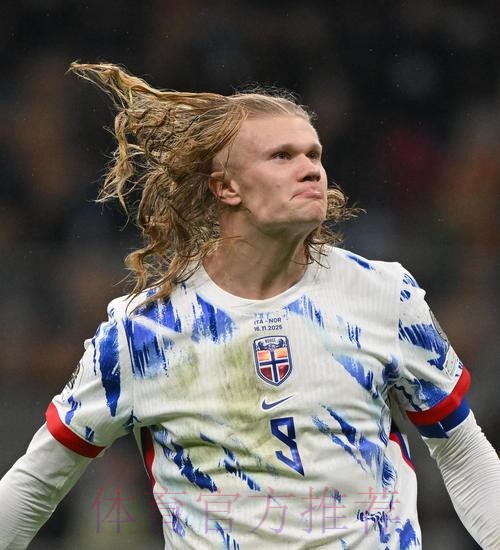 最新世界杯葡萄牙哈兰德比赛解读深度解读